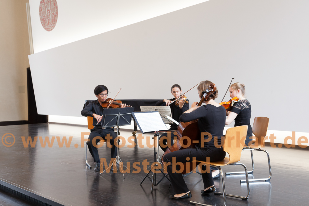 Bestell-Nr. :1607-029